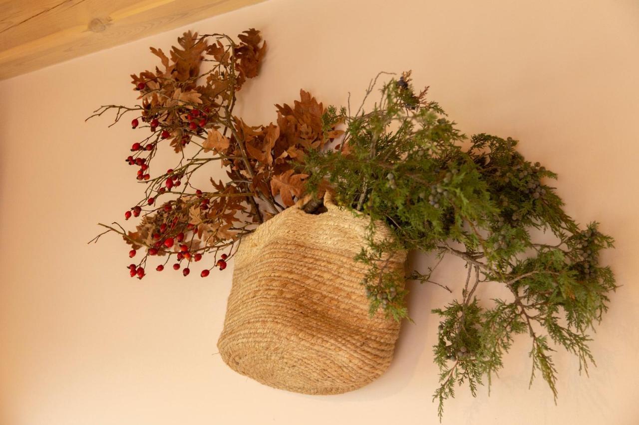 La Galiana Loft Nature Casarejos Eksteriør bilde